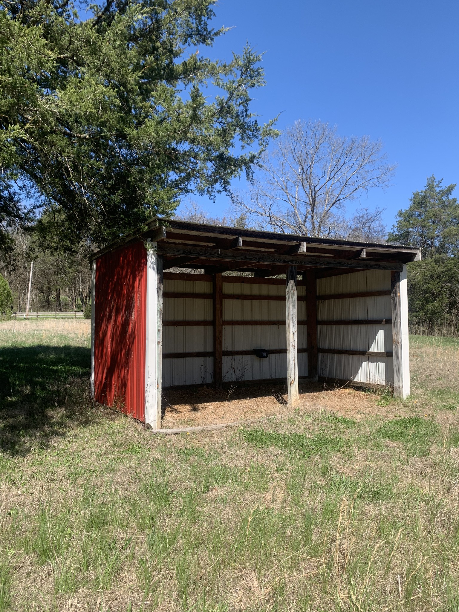 146 Cheatham Road Ardmore, TN 38449 - Photo 36 of 53 a view of a backyard
