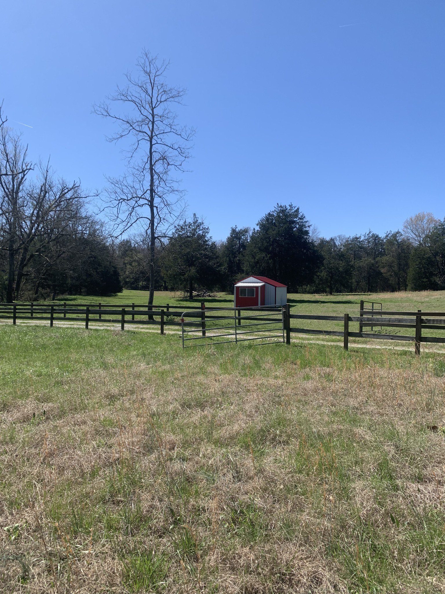 146 Cheatham Road Ardmore, TN 38449 - Photo 37 of 53