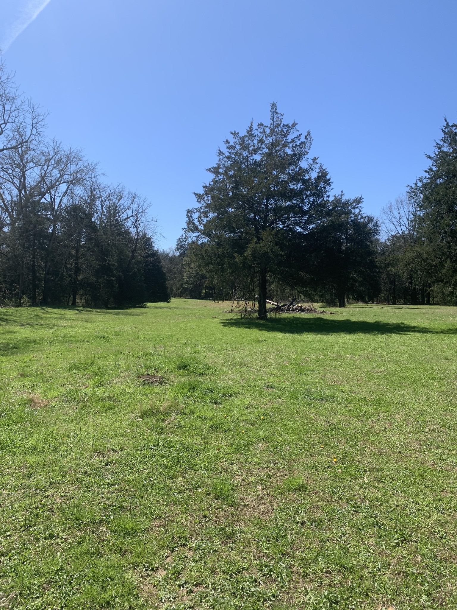 146 Cheatham Road Ardmore, TN 38449 - Photo 39 of 53