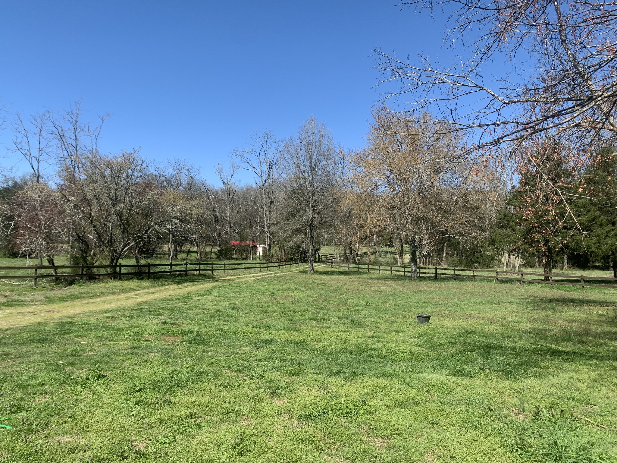 146 Cheatham Road Ardmore, TN 38449 - Photo 4 of 53