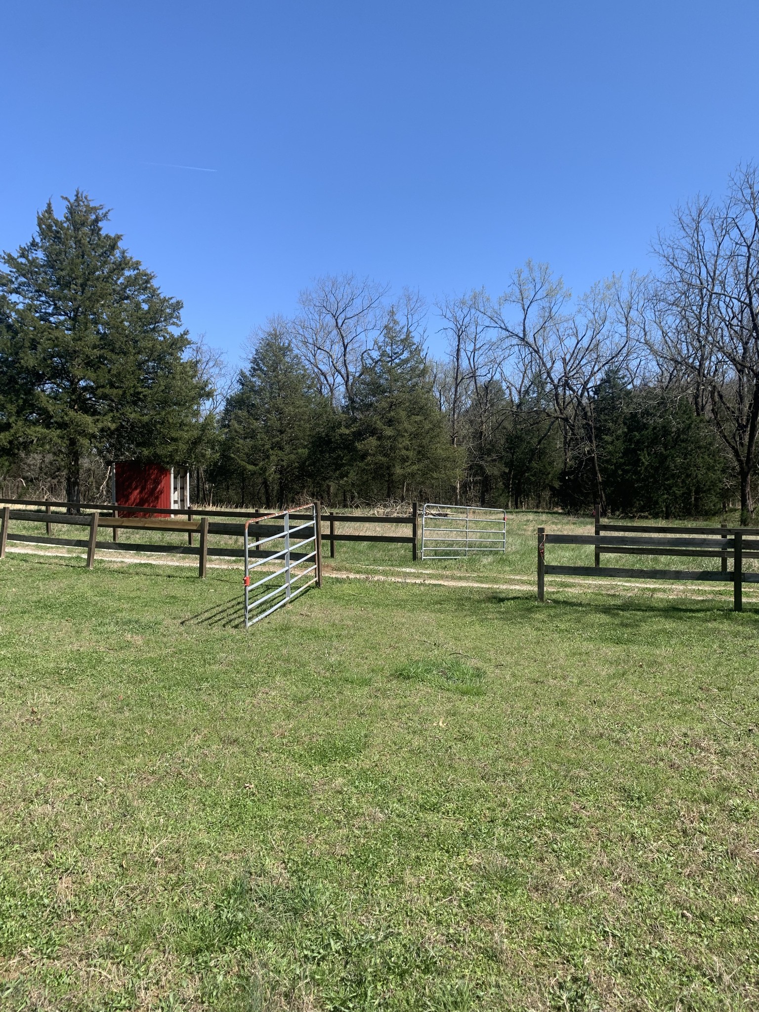 146 Cheatham Road Ardmore, TN 38449 - Photo 50 of 53