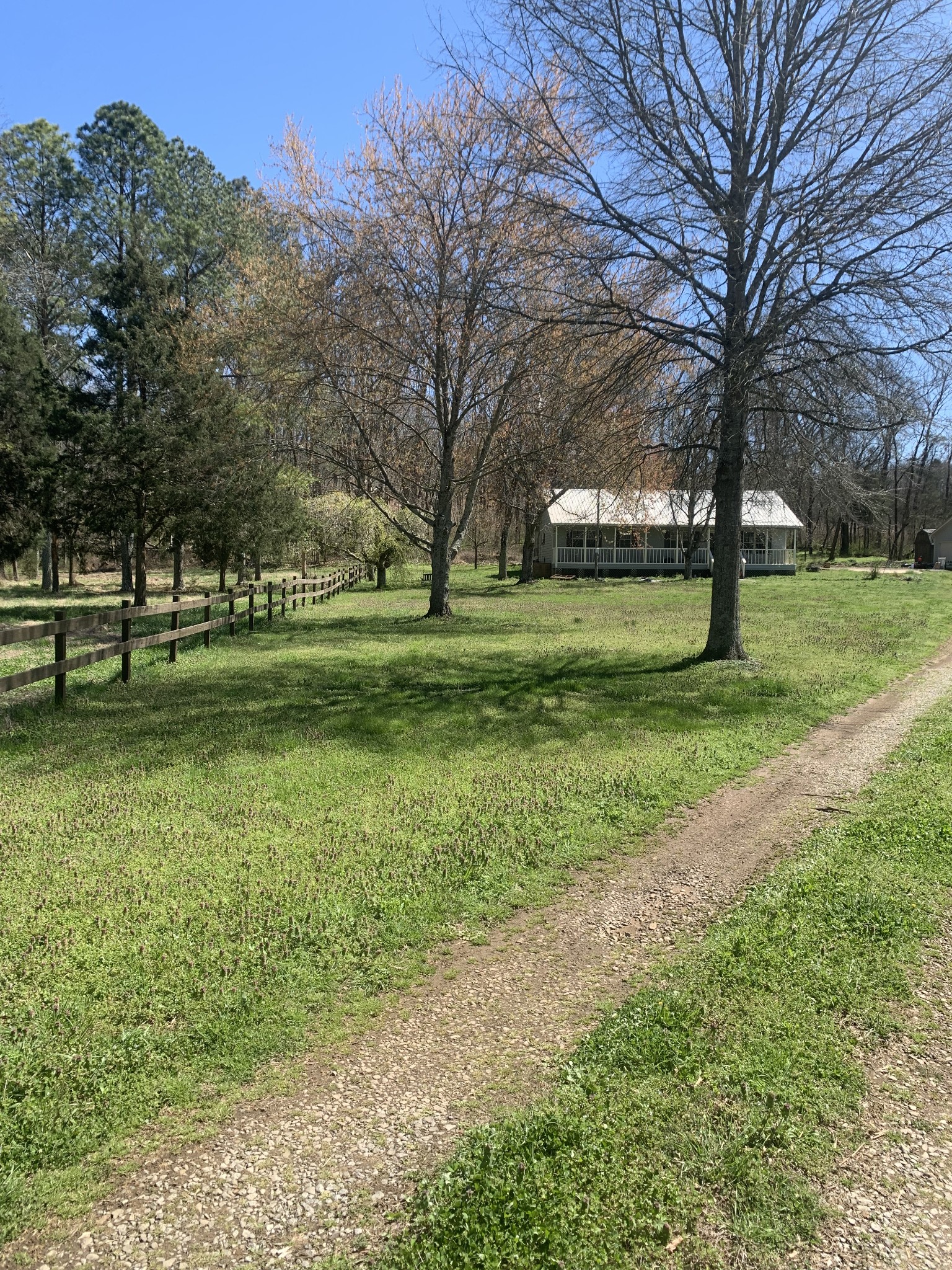 146 Cheatham Road Ardmore, TN 38449 - Photo 52 of 53 a view of a park with large trees