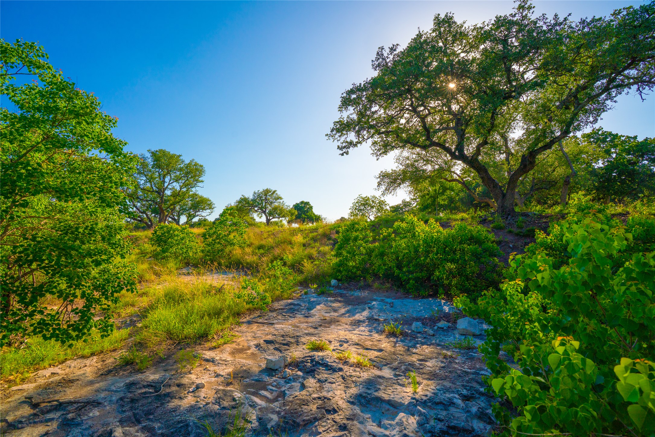 0 Creekside Ranch Johnson City, TX 78636 - Photo 5 of 14 Natural rock formations and verdant foliage create a serene outdoor retreat under the clear sky.