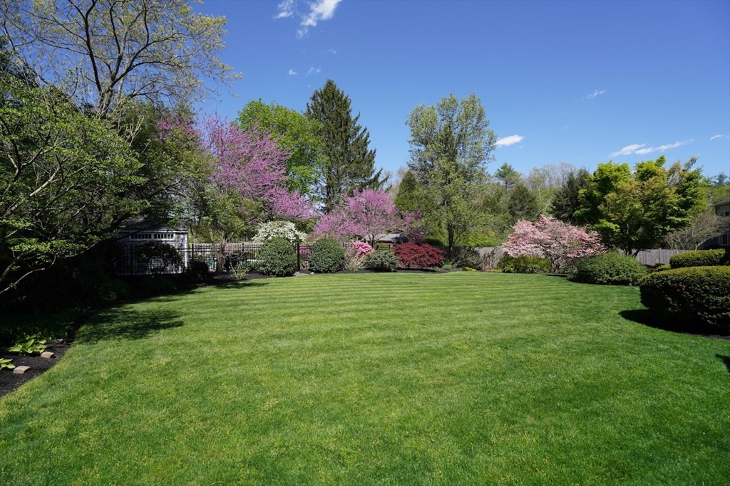 86 Allen Farm Lane Concord, MA 01742 - Photo 31 of 34 a view of a garden with plants and large trees