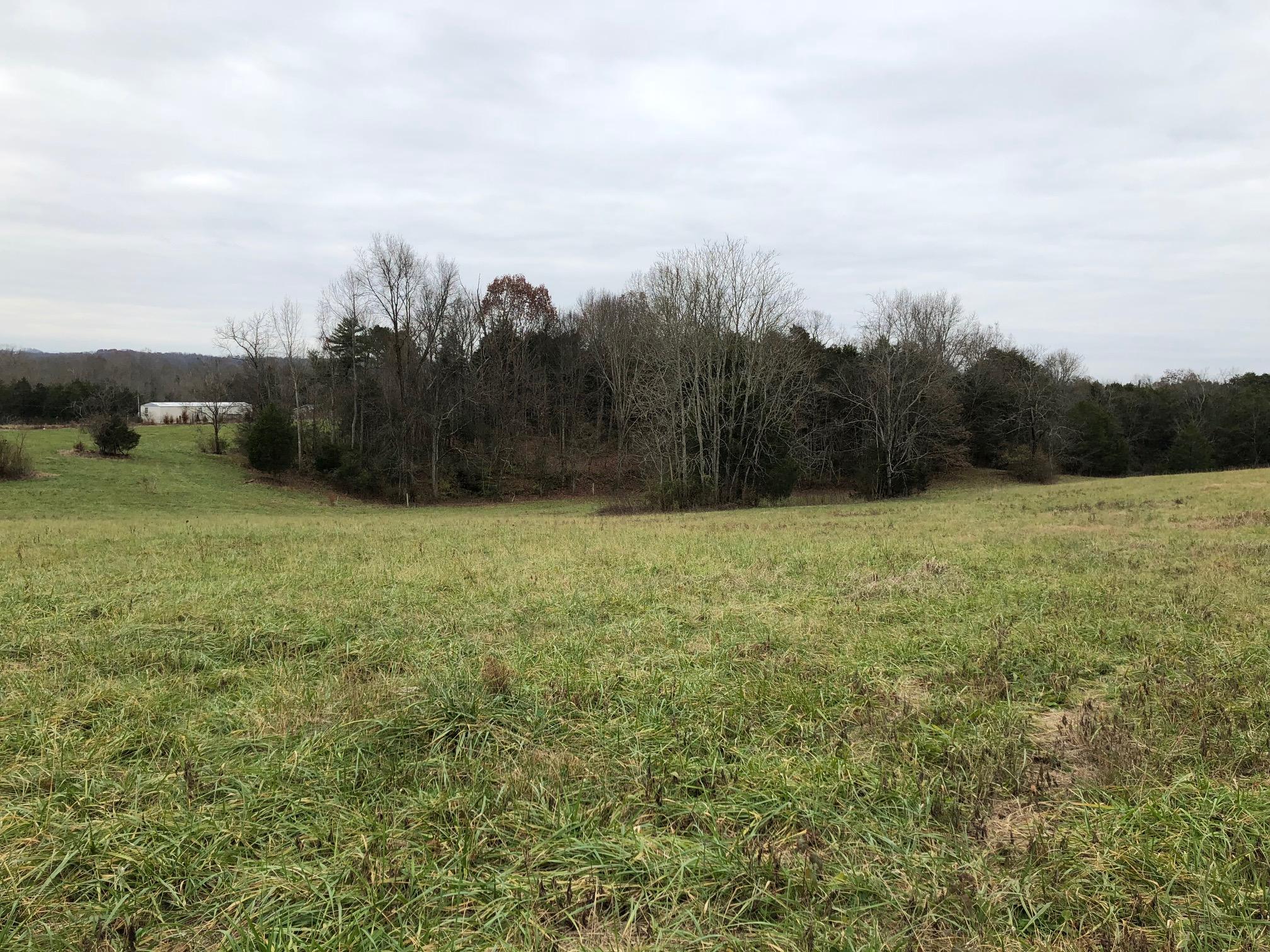 2334 Hopkins Road Talbott, TN 37877 - Photo 1 of 2 IMG_2337