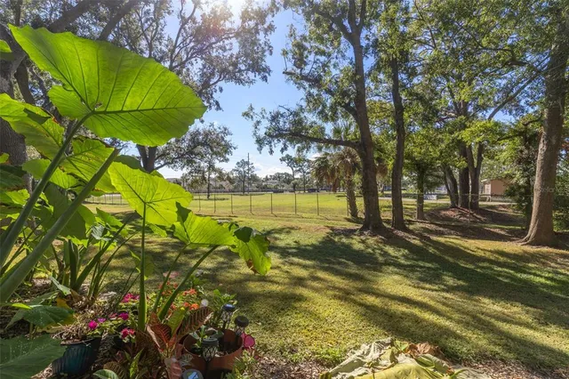 $239,000 | 3122 Valley Oaks Drive, Tampa, FL 33618