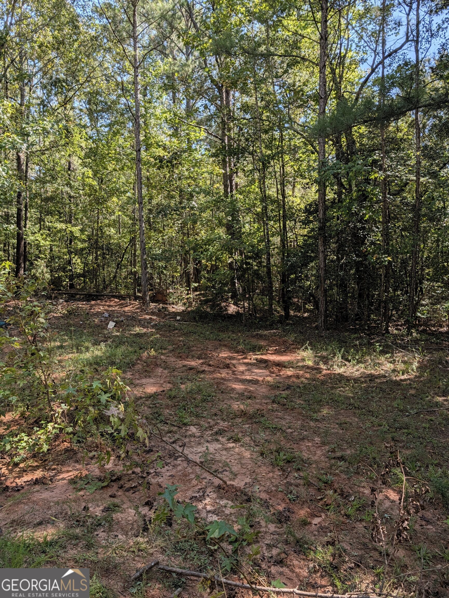 -chappell Mill Chappell Mill Road Milner, GA 30257 - Photo 8 of 10 Gallery Image 8