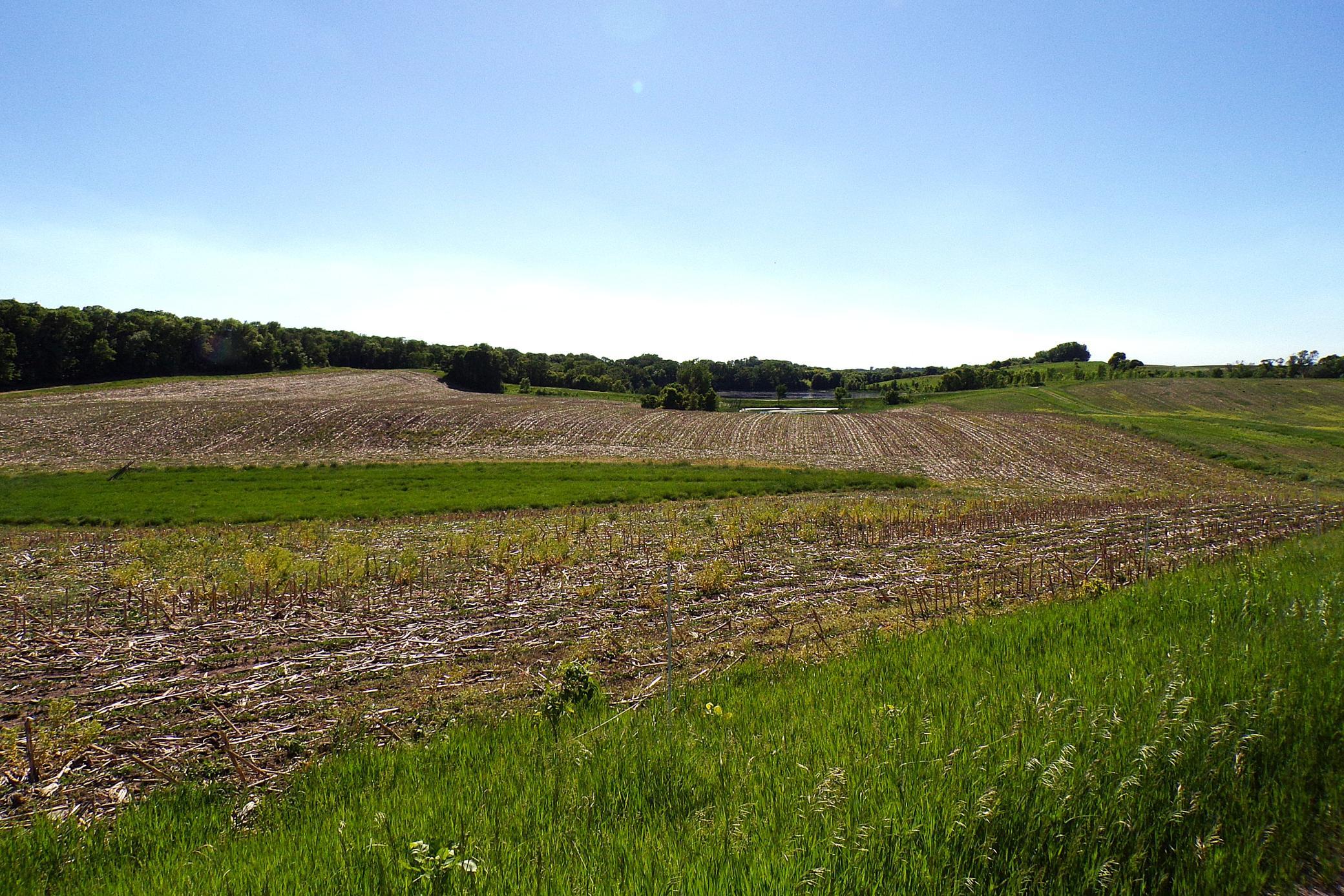 4199 Andes Road Southwest Kensington, MN 56343 - Photo 27 of 57