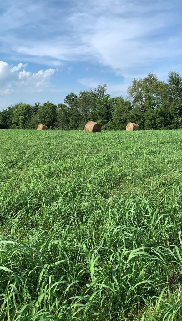 7900 Ecton Road Winchester, KY 40391 - Photo 28 of 44 117379_18