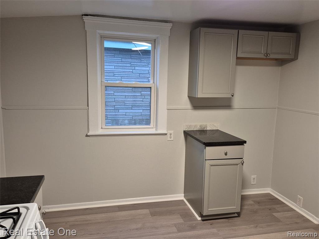 53 Elizabeth Street River Rouge, MI 48218 - Photo 7 of 30 Gallery Image 7