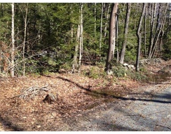 0 Beetle Road Tolland, MA 01034 - Photo 1 of 6