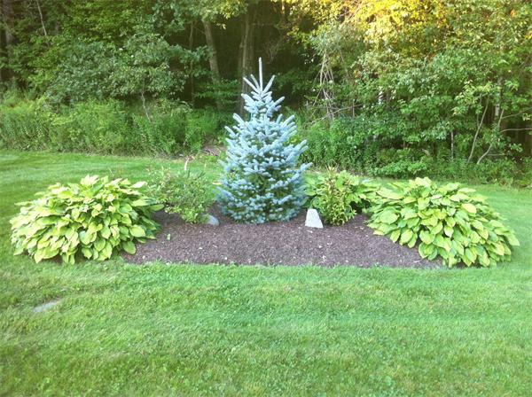 85 South Chesterfield Road Goshen, MA 01096 - Photo 20 of 26