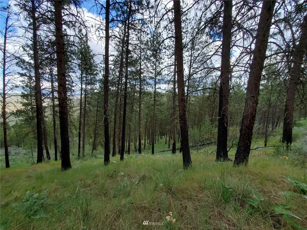 $683,440 | 570 X Tunk Creek Road, Riverside, WA 98849