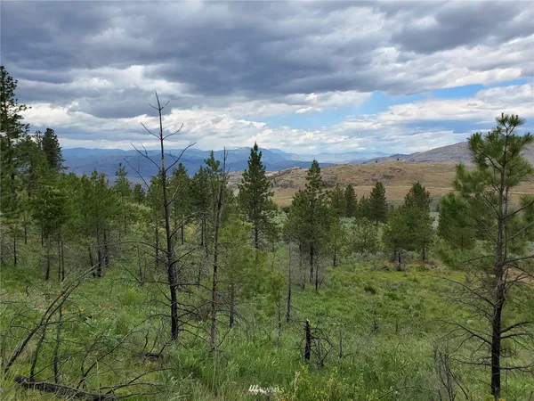a view of a city from a yard