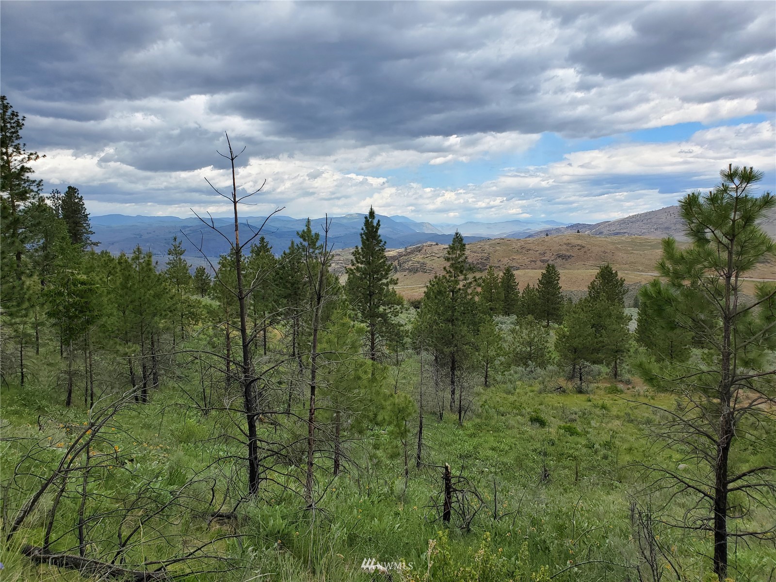 570 X Tunk Creek Road Riverside, WA 98849 - Photo 14 of 30 a view of a city from a yard