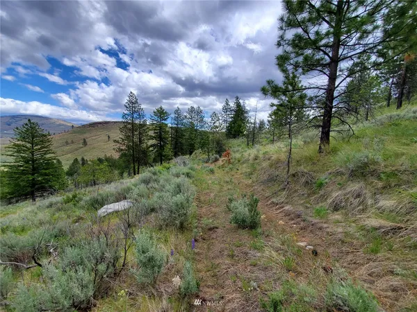a view of a green field with lots of bushes