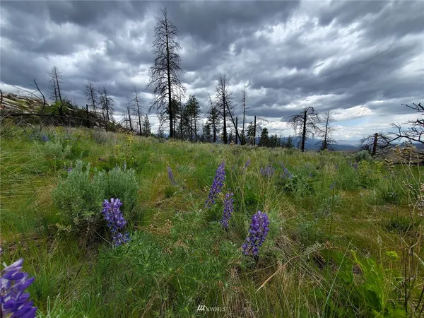 a view of a flower in a yard with a lot of flower plants and wooden fence