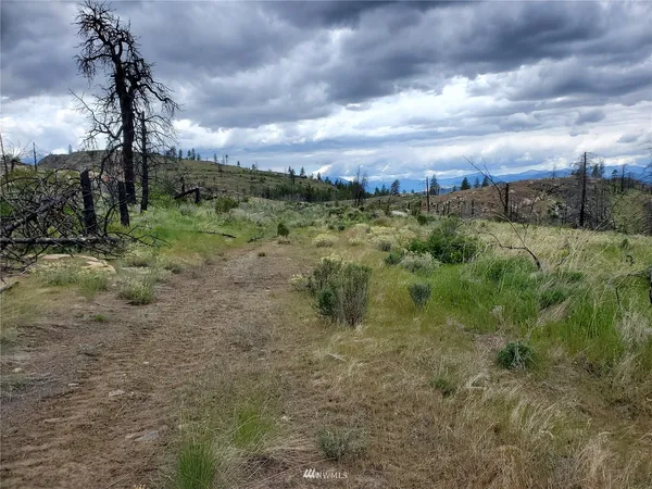 a view of a garden with trees