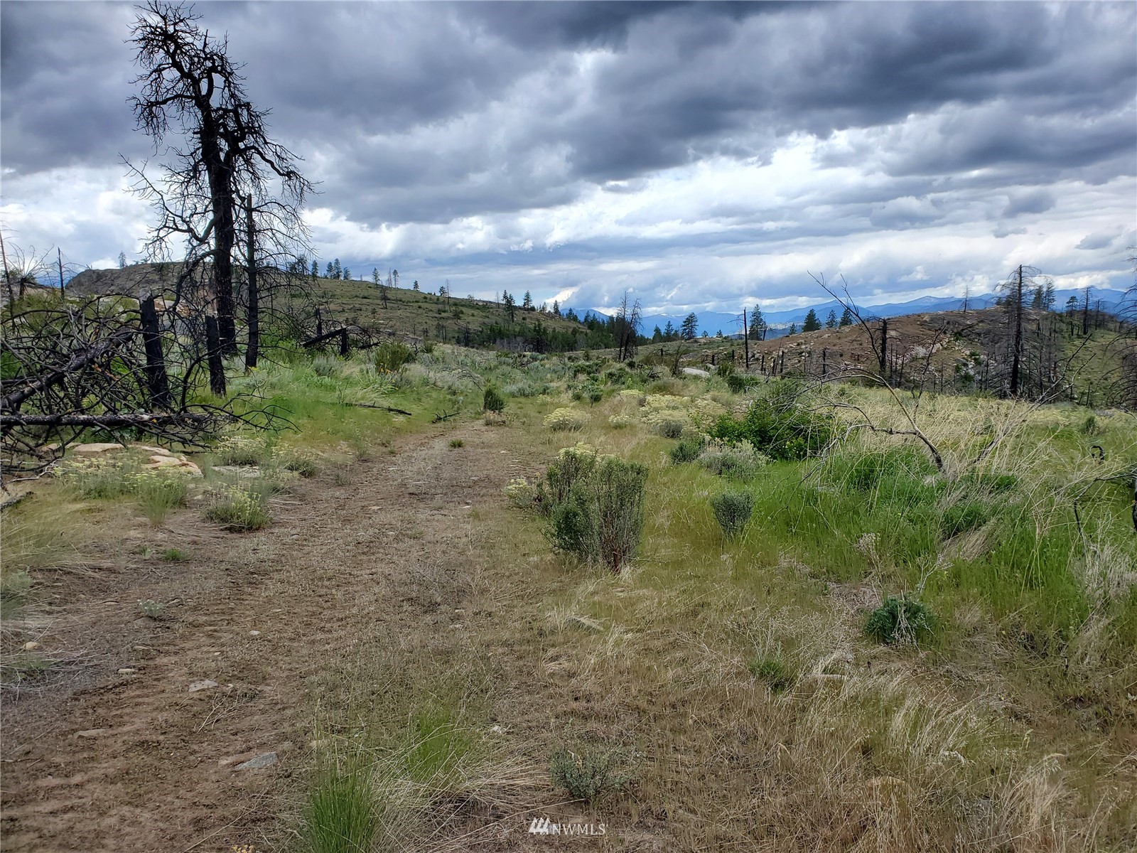 570 X Tunk Creek Road Riverside, WA 98849 - Photo 19 of 30 a view of a garden with trees