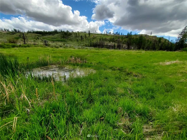 a view of grassy field with trees