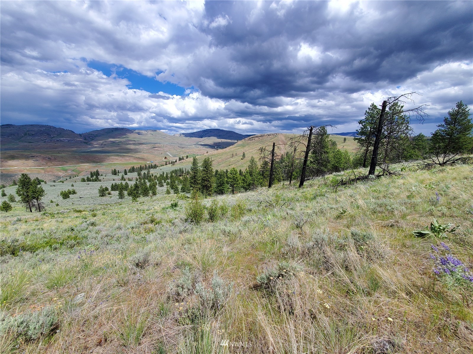 570 X Tunk Creek Road Riverside, WA 98849 - Photo 22 of 30 a view of a pathway both side of grassy field with shrub