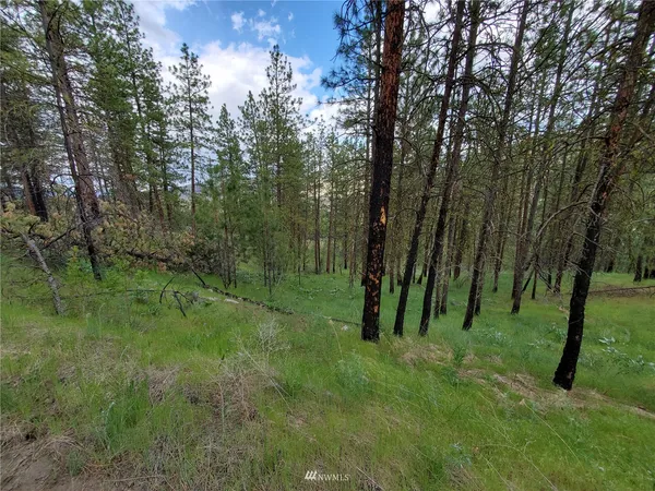 a view of outdoor space with green field and trees