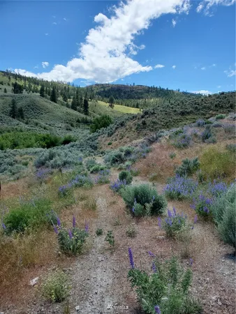 a view of a big yard with lots of green space