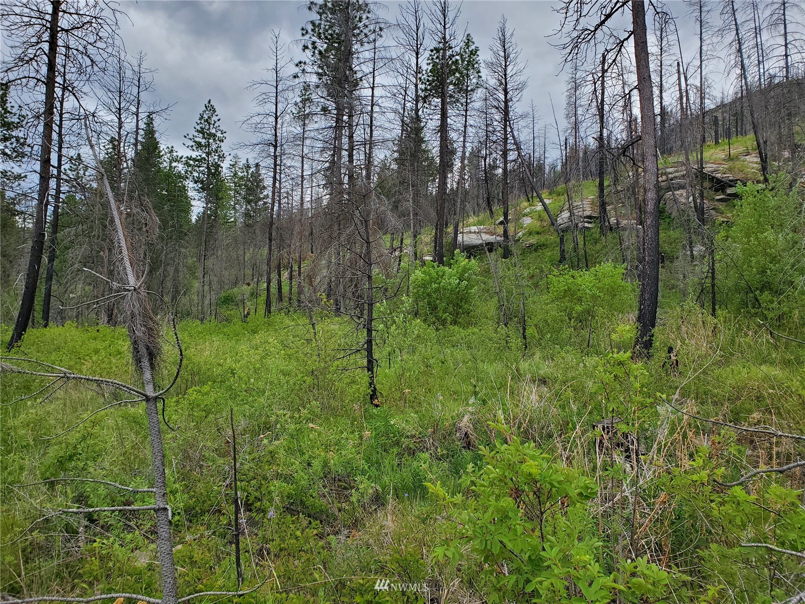570 X Tunk Creek Road Riverside, WA 98849 - Photo 29 of 30 a view of a garden