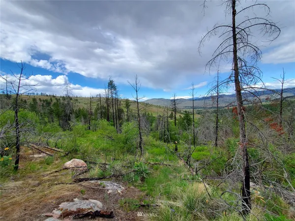 a view of a yard in front of the house