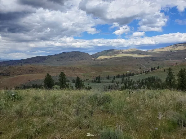 a view of a lush green mountain