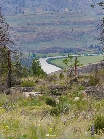 a view of a backyard of a house