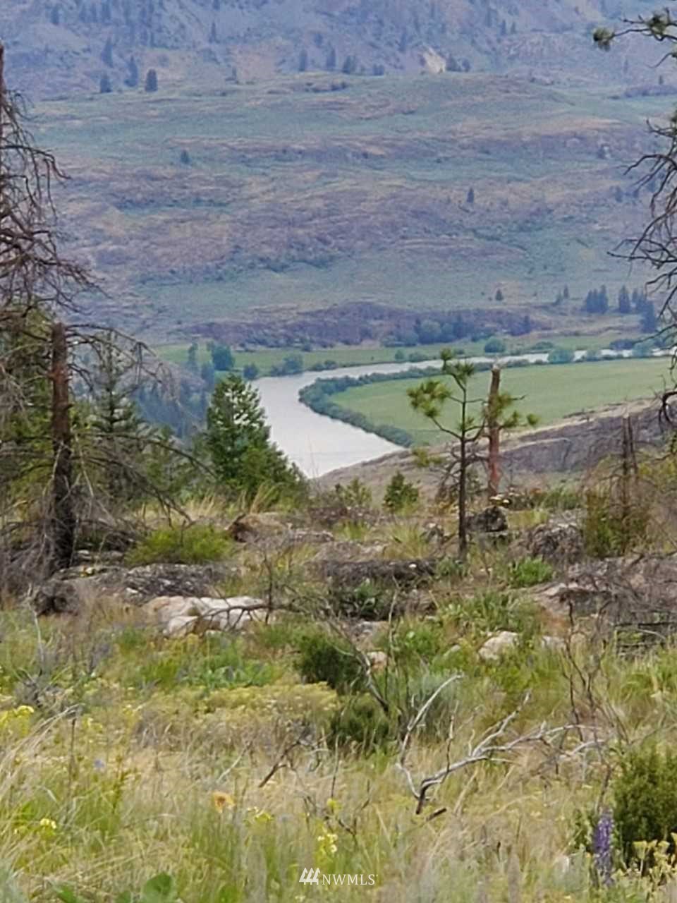 570 X Tunk Creek Road Riverside, WA 98849 - Photo 4 of 30 a view of a backyard of a house