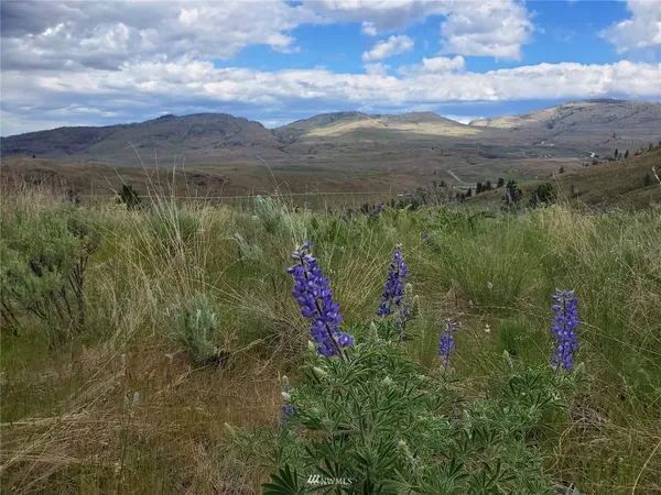 a view of a lake with a mountain in the background