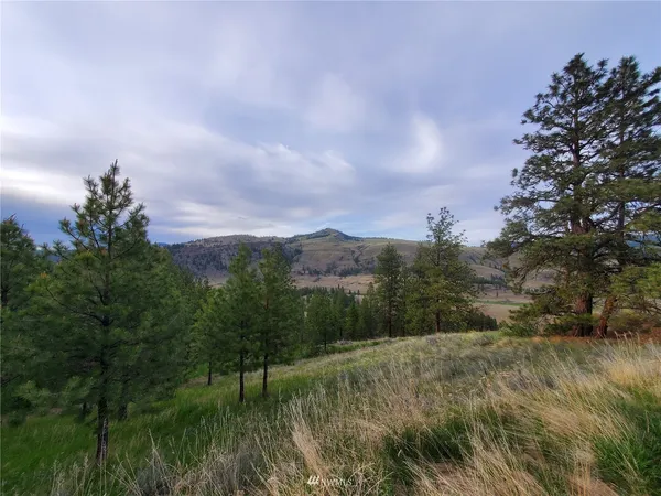 a view of a lake and green valley