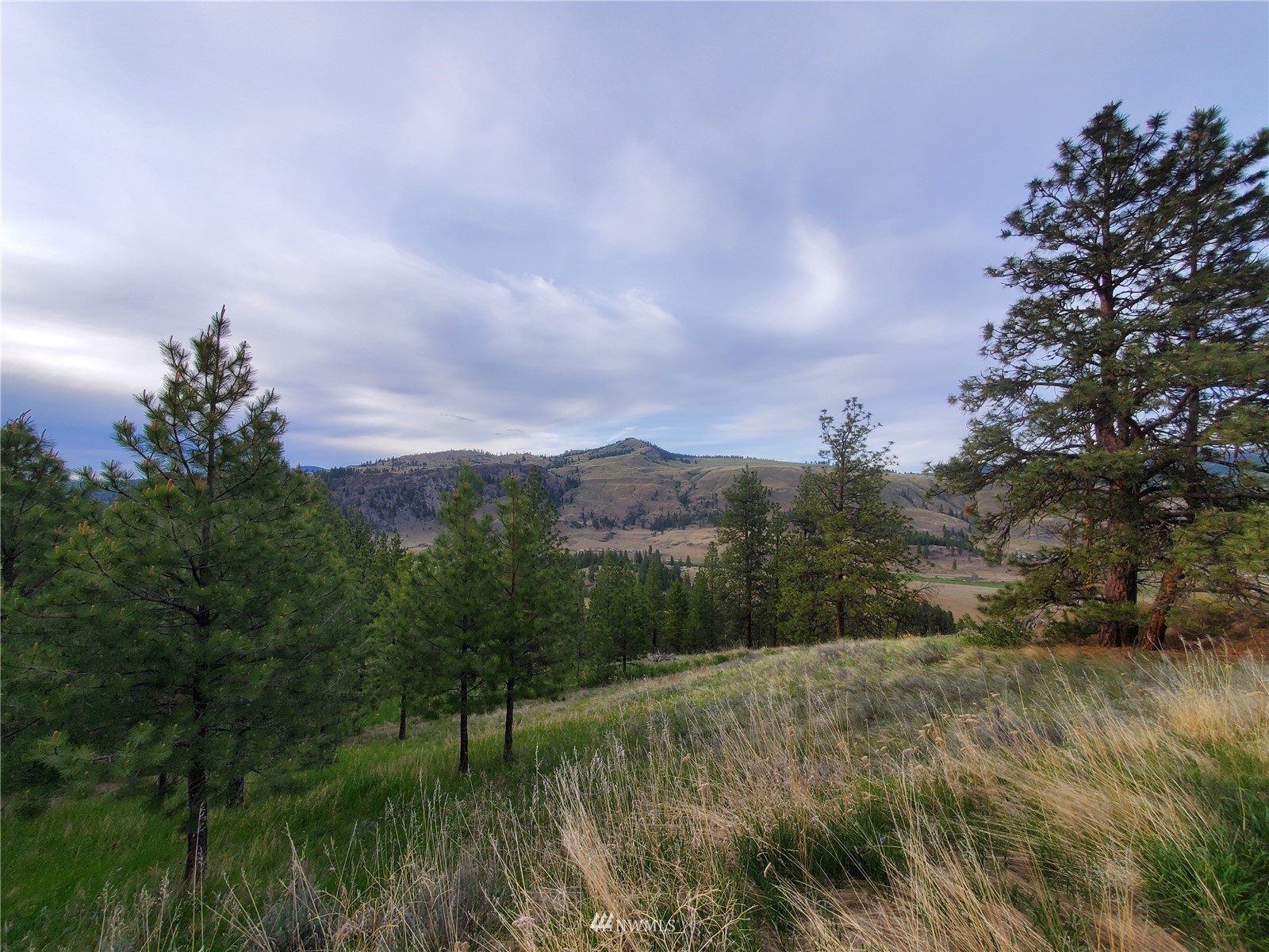 570 X Tunk Creek Road Riverside, WA 98849 - Photo 7 of 30 a view of a lake and green valley