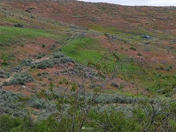a view of a road with an ocean