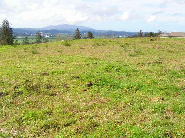 Lot 25 Skyview Road Tillamook, OR 97141 - Photo 4 of 21 P3180327.JPG