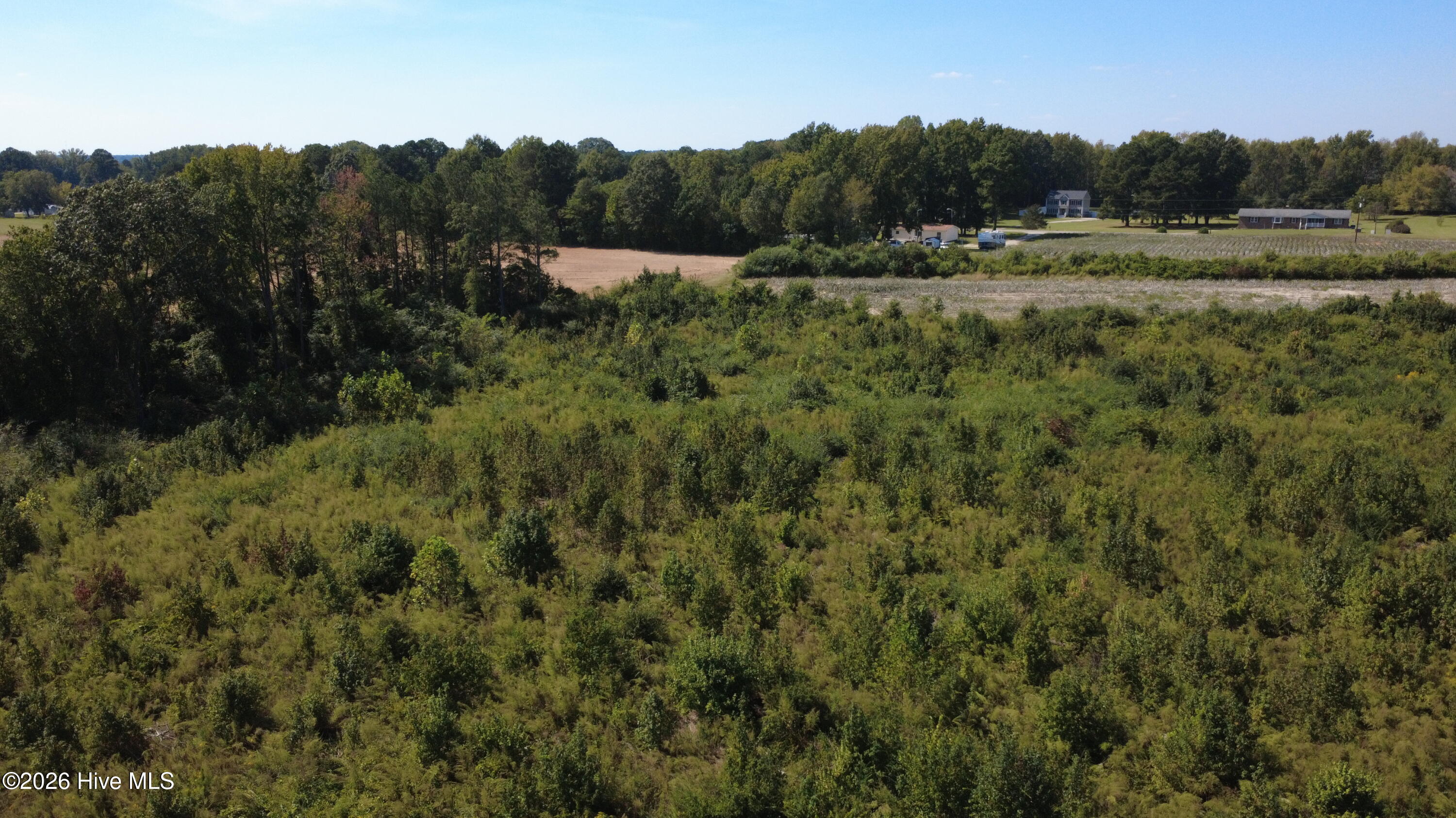0 Ward Road Whitakers, NC 27891 - Photo 11 of 27 DJI_0507