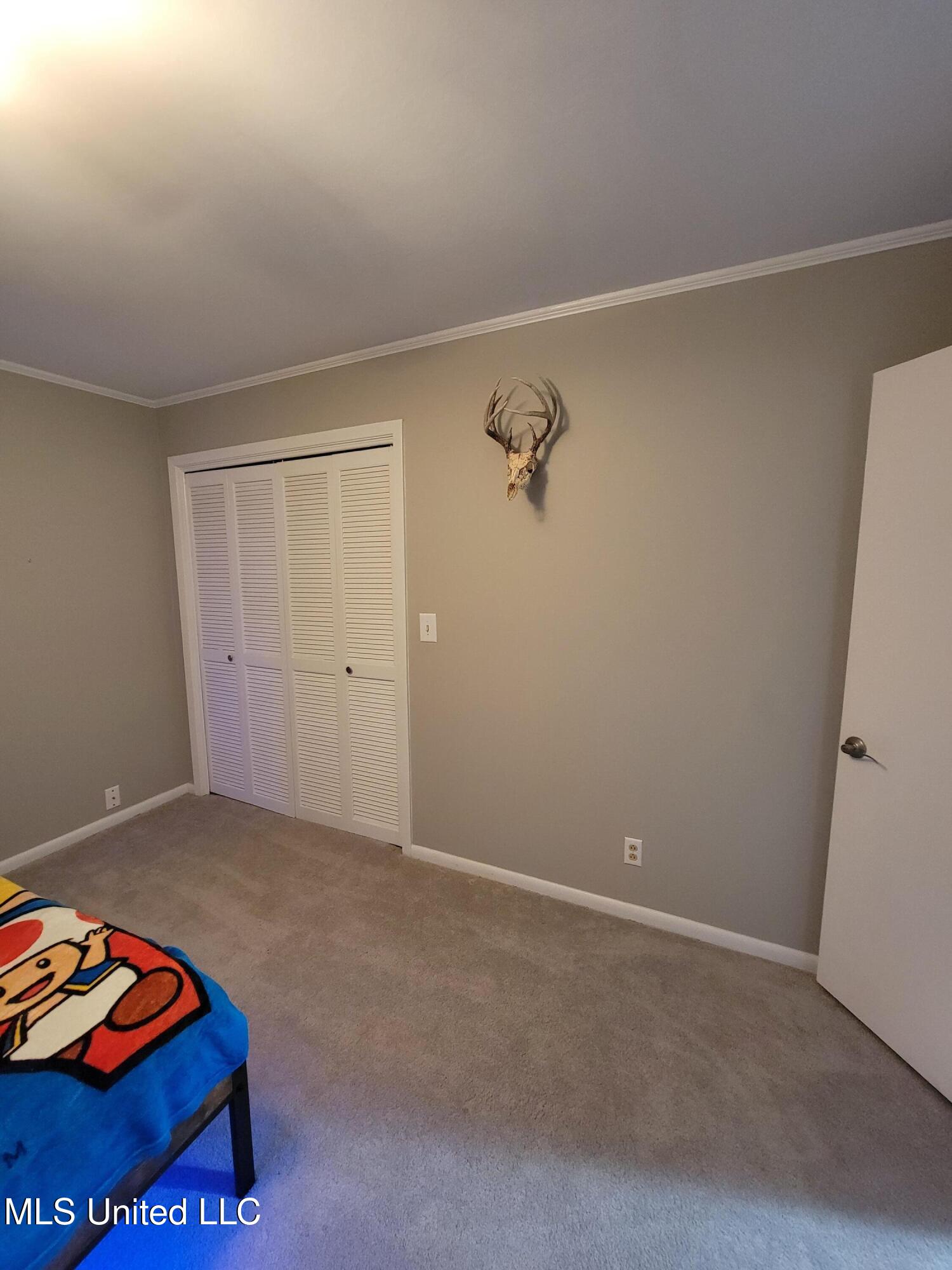 270 Magnolia Drive Raleigh, MS 39153 - Photo 17 of 25 30820