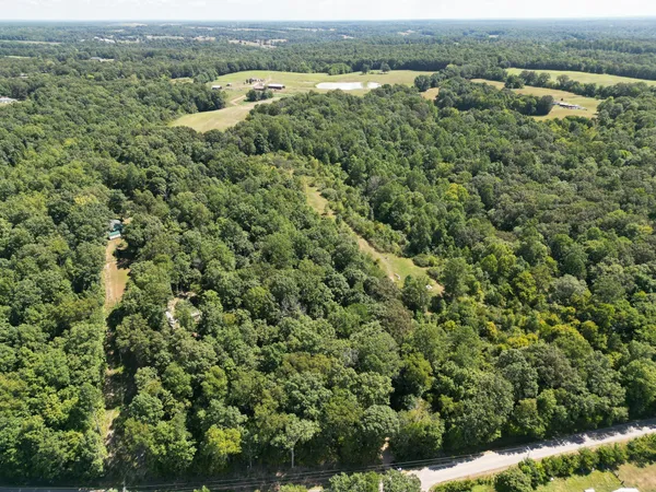 an aerial view of residential houses with outdoor space and trees