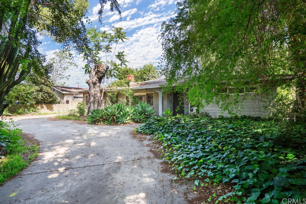a view of a house with a tree