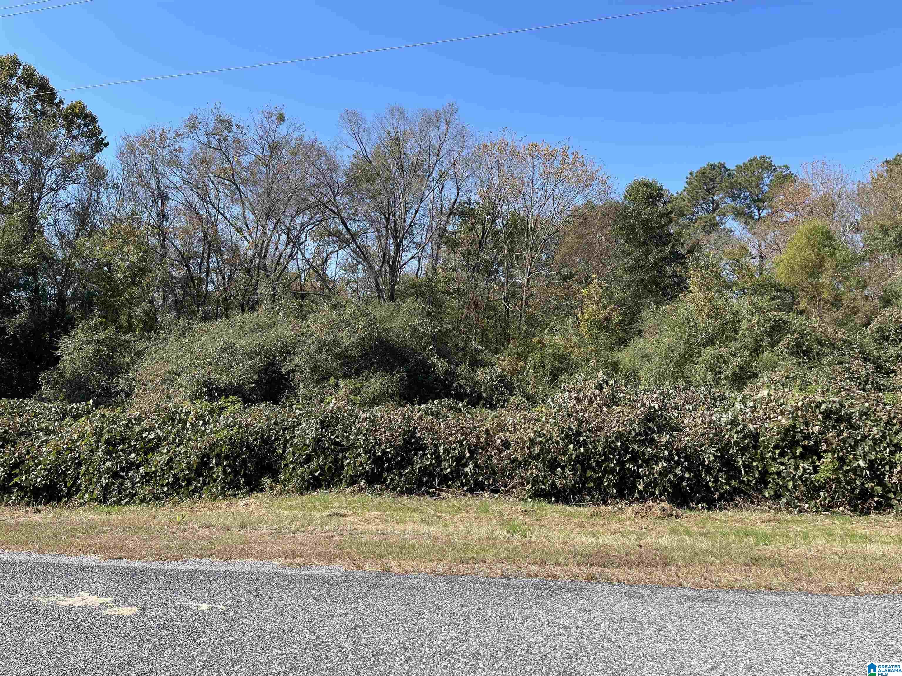 0 Dead Hollow Road, Unit 25 Harpersville, AL 35078 - Photo 2 of 4