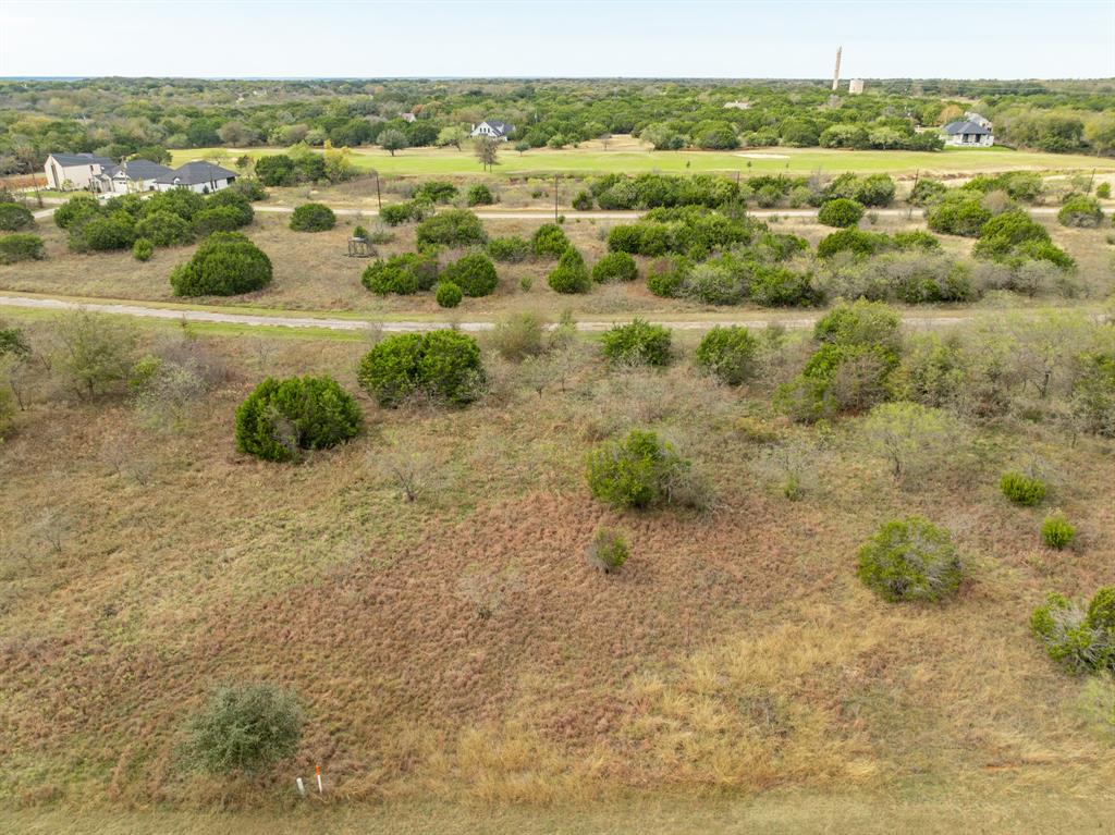 39213 Shadow Ridge Drive Whitney, TX 76692 - Photo 3 of 22