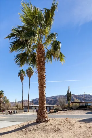 $2,500 | 71620 Juanita Drive, Twentynine Palms, CA 92277