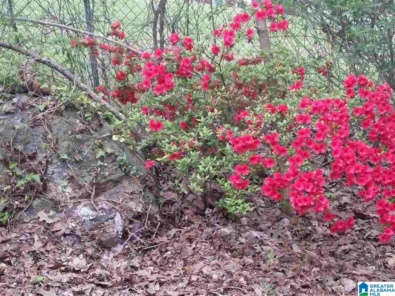 6212 May Street Anniston, AL 36206 - Photo 18 of 19
