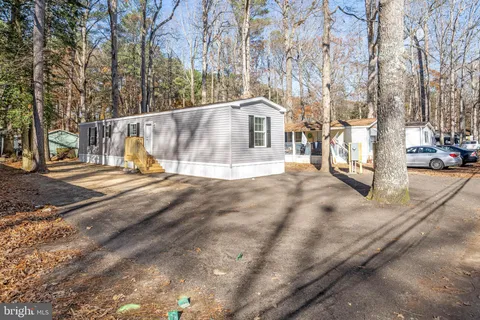 a view of a white house with a large tree