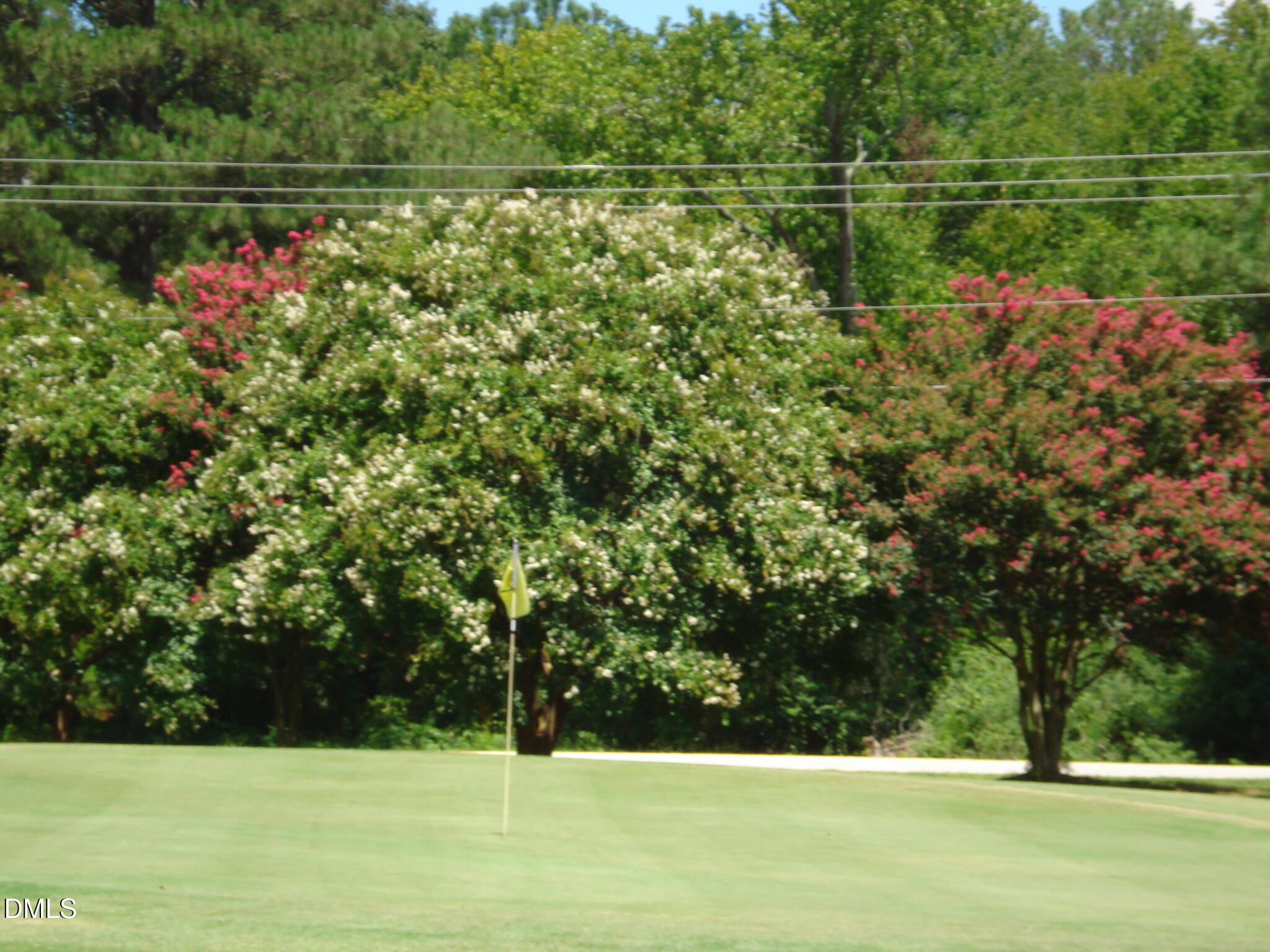 41 Sandy Ridge Road Dunn, NC 28334 - Photo 6 of 45 DSC09306