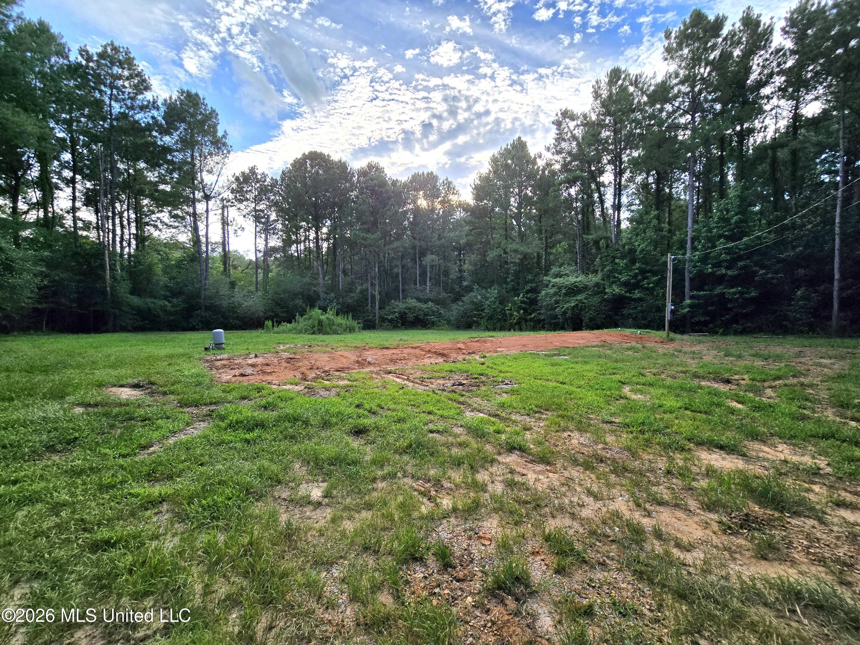 1189 Shady Grove Road Osyka, MS 39657 - Photo 9 of 27 20260622_183313