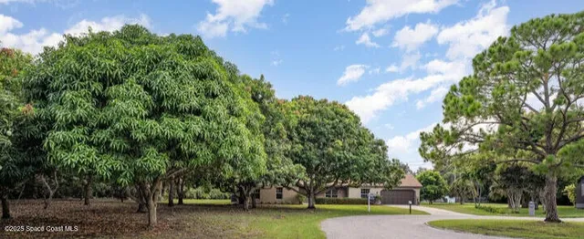 a view of a park with large trees