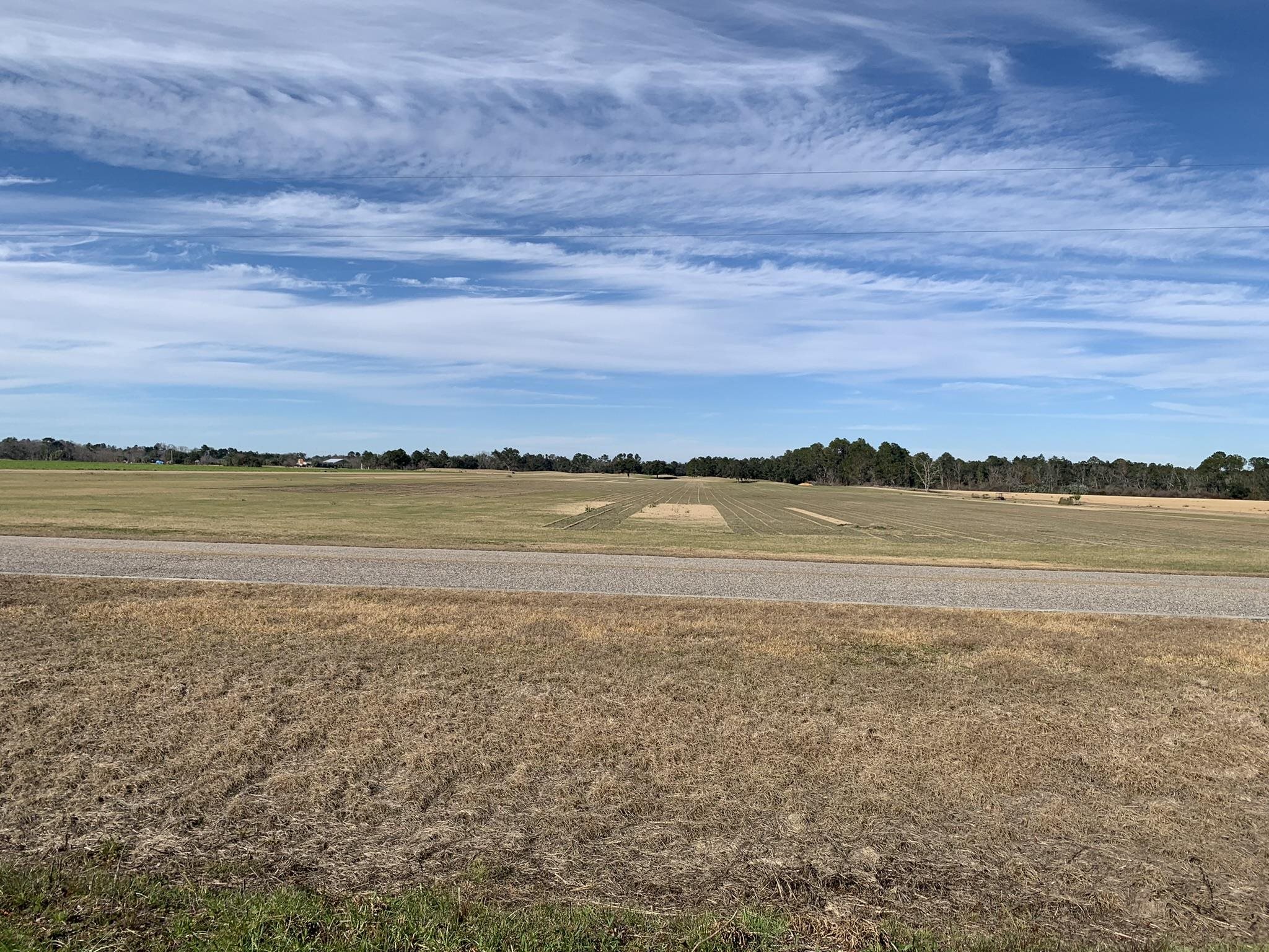 Lot 4 County Road 26 Elberta, AL 36530 - Photo 3 of 4
